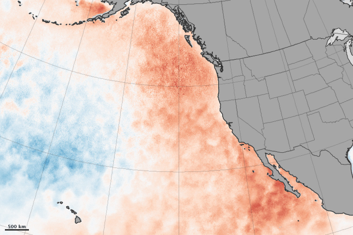 Satellite image of ocean-surface temperature of the eastern Pacific Ocean in March 2015.
