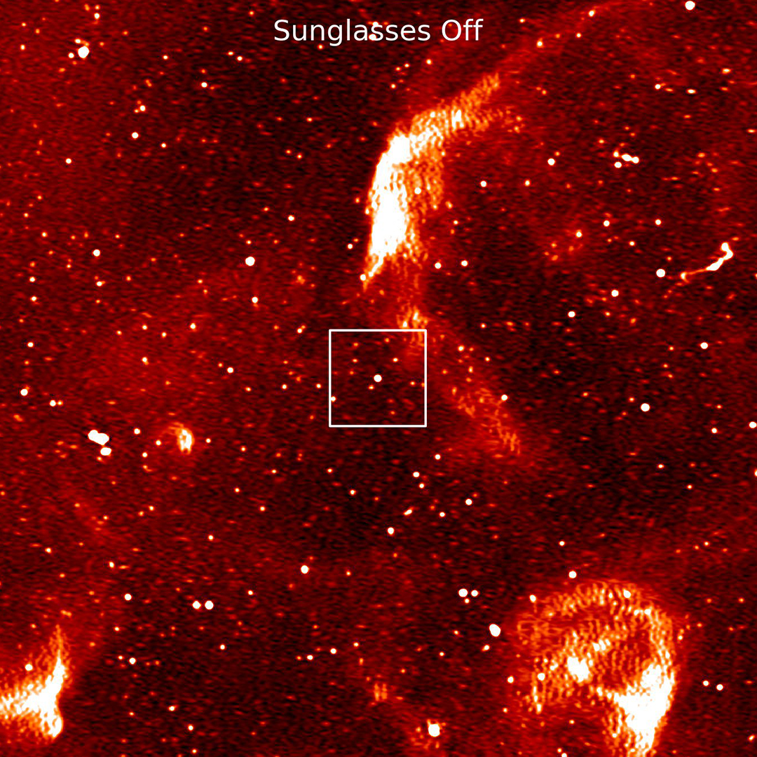 View of a pulsar with sunglasses off.