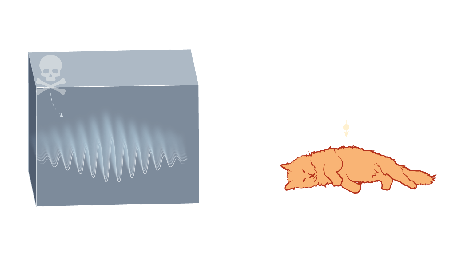 On the left a waveform is shown in a box. There is a skull and crossbones symbol with an arrow pointing at the waveform. An arrow points right to an orange dead cat labelled 'Poison released'.