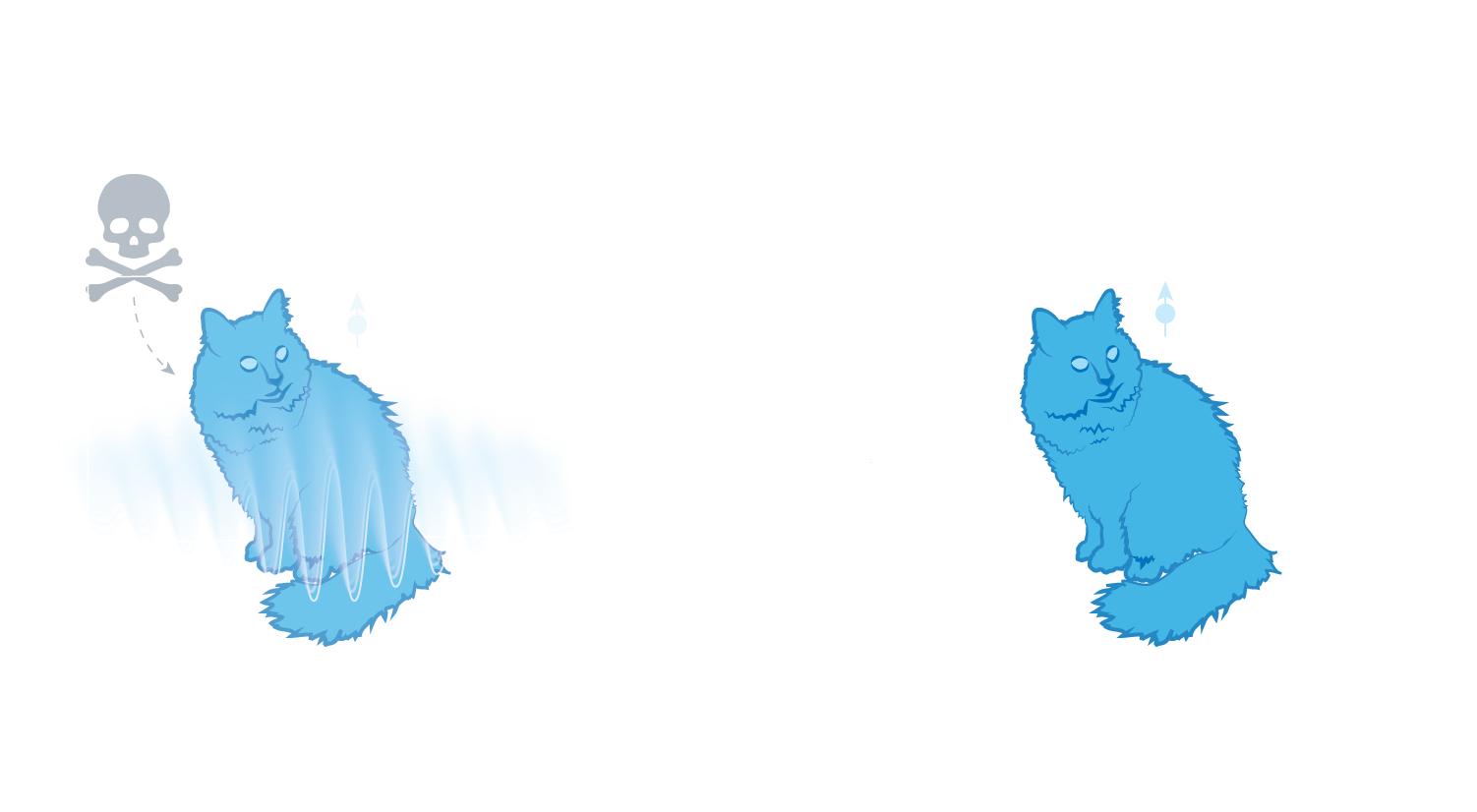 On the left a living blue cat is shown in a box. A waveform is shown over the cat and there is a skull and cross bones symbol. An arrow points to the right where there is a living blue cat.