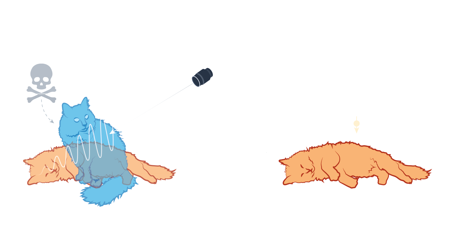 On the left an alive blue cat and a dead orange cat are shown in a box. A camera is shown pointing into the box with a waveform emanating from its lens. There is also a skull and cross bones symbol. An arrow points to the right where there is a dead orange cat.
